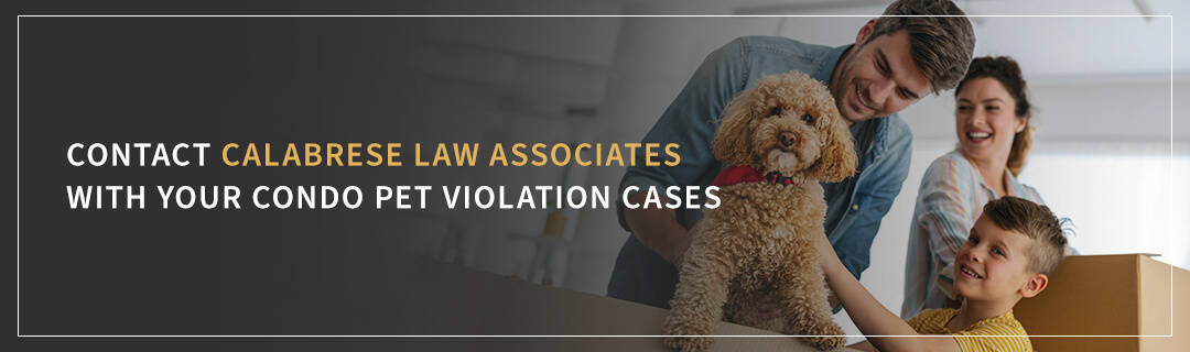 Contact Calabrese Law Associates for Condo Pet Violations