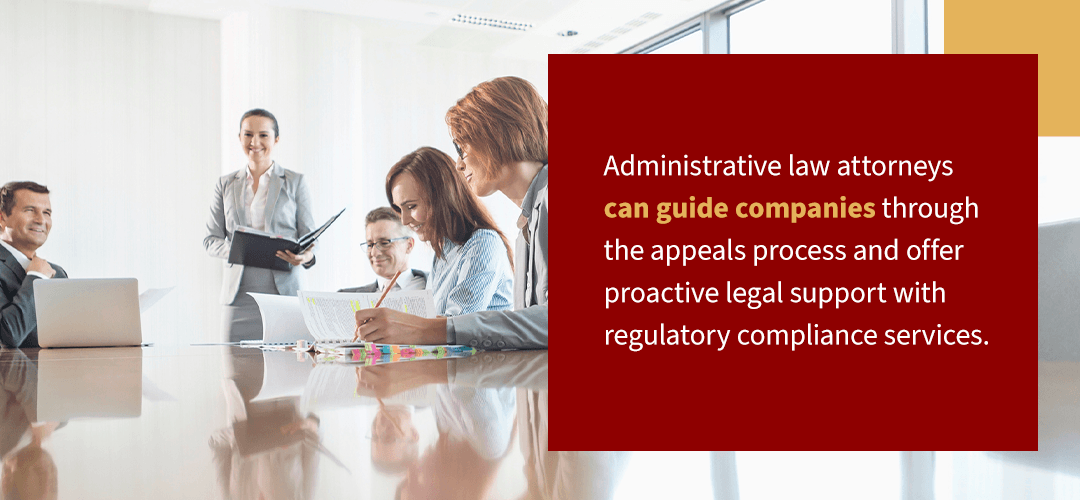 administrative law attorneys